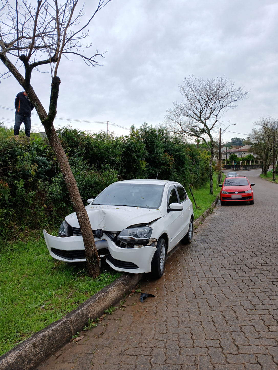 Motorista desvia de gato e carro colide contra árvore em Barão